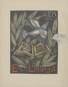 Imagen de cubierta local